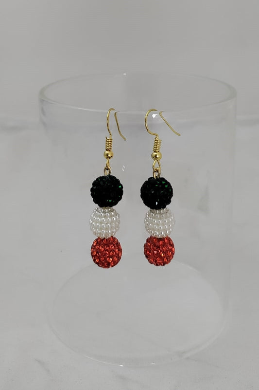 Beautiful tricolor earring [SKU00004]